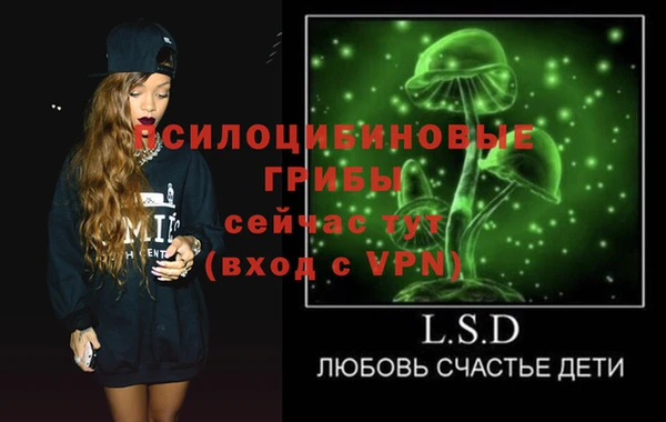 тгк Богородск