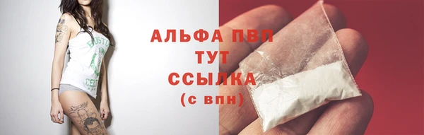 эйфоретик Богданович