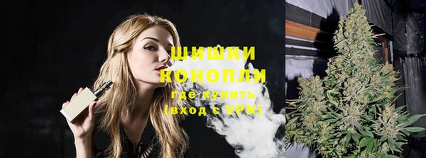 эйфоретик Богданович